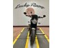 2021 Triumph Speed Twin for sale 201207002